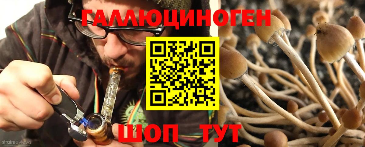 цена наркотик  Псилоцибиновые грибы Psilocybine cubensis  Вход с VPN  Кубинка 